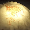 BloodSample-T4