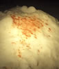 BloodSample-T5
